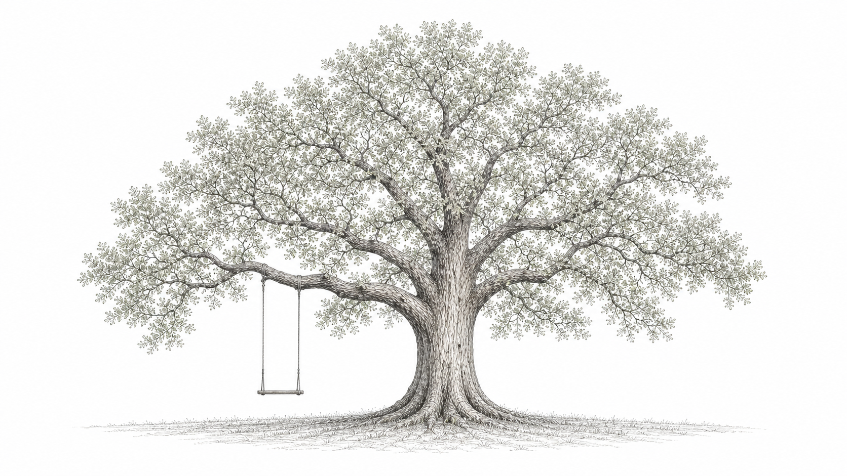 Sketch of a bur oak tree with a swing on the left side